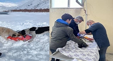 Can dostlar için seferber oldular