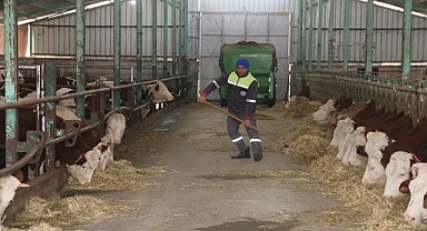 Depremzedeler hayvanlarına kavuştu