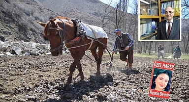 Erzurum'a