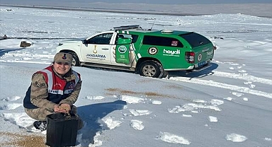 Jandarma ekipleri takdir topladı