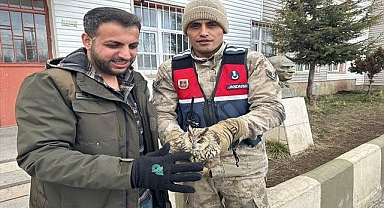 Jandarma yaralı halde buldu