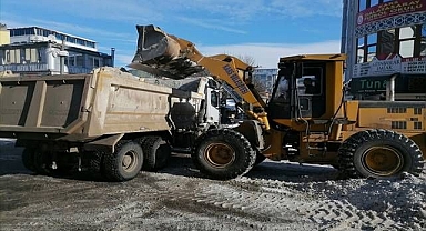 Kamyonlarla toplanıp şehir dışına taşınıyor