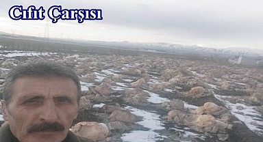 Lahana, ekmem bir daha!