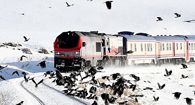 Masalsı yolculuk 10 bin liradan başlıyor