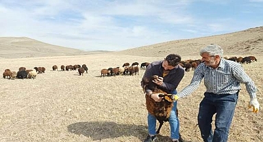 O proje yeniden start aldı!