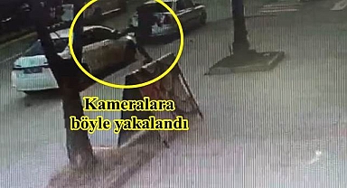 Park halindeki araca saldırmıştı!