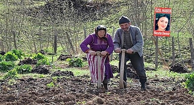 Tarımsal nüfus yaşlanıyor!