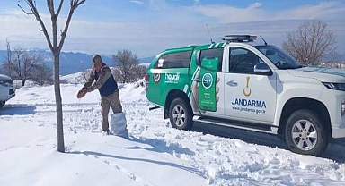Yaban hayvanları için doğaya yem bırakıldı