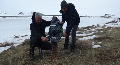 Yaban hayvanlarını unutmadılar