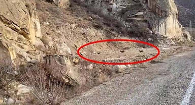 Yol kenarına kadar indiler!