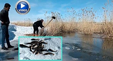 Yüzeyi donmuş nehirde balık avı!