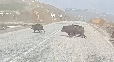 Acıkınca köye indiler