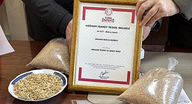 Ata buğdayı kavılcaya coğrafi işaret 