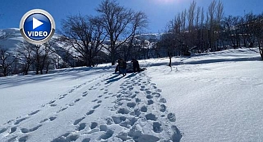 Besicilerin zorlu kış mesaisi