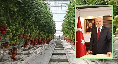 Büyükşehirden seracılık hamlesi