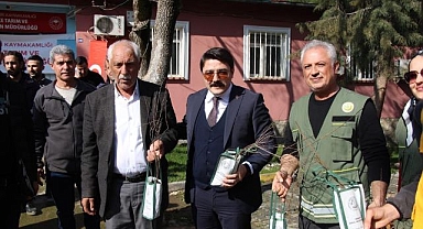 Çiftçilere ücretsiz 12 bin fidan dağıtıldı