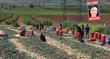 Çiftçinin kaygısı büyük!
