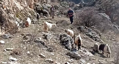 Dağın başında mahsur kaldılar