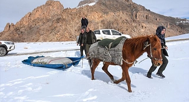 Dağlara atla yem taşıdılar