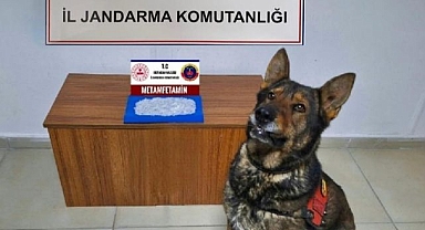 Jandarmadan uyuşturucu operasyonu