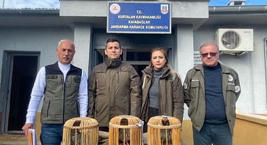 Kaçak avcıya ceza!