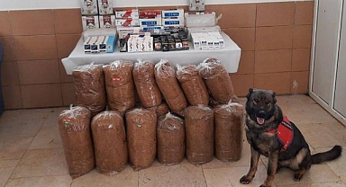 Kilolarca kaçak tütün ele geçirildi