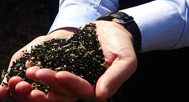Ölümden başka her şeye deva