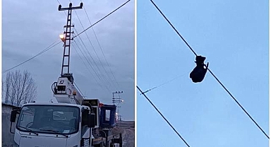 Yüksek gerilim hattından böyle kurtarıldı