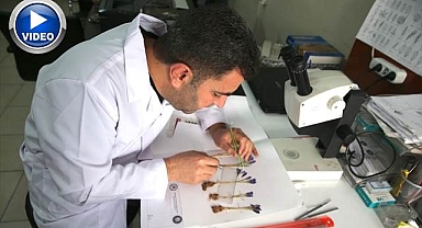 500 bitki türünü kayıt altına aldı