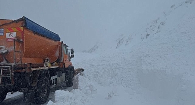 Ardahan-Artvin kara yoluna çığ düştü