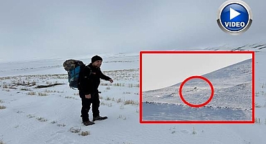 Ayılar bu yıl erken uyandı