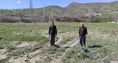 Baba oğlun çilek bahçesi sel suyu altında kaldı