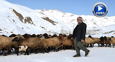 Besiciler baharı dört gözle bekliyor