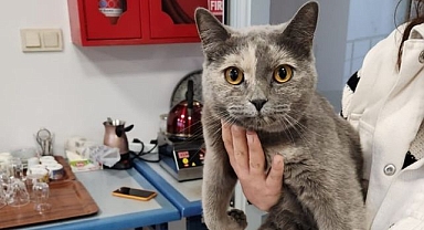 Çatıya sıkışınca imdadına personel yetişti
