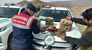 Kaçak avcılara ceza yağdı