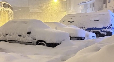Lapa lapa yağar kar hayatı durdurdu