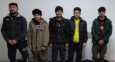 Ülkeye yasadışı yollarla girdiler, ama...