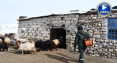 Veteriner ekip besiciler için yollara düştü