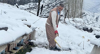 Yalancı bahar, bal arılarını vurdu
