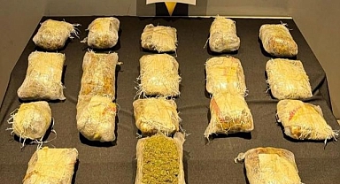 11 kilo 15 gram skunk ele geçirildi   