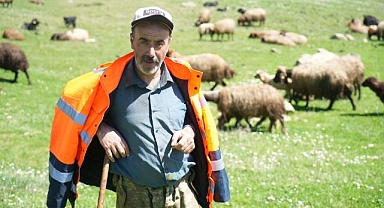 40 bin TL'ye çalışacak çoban bulamıyorlar