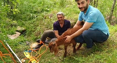 5 metre derinliğindeki kuyuya düştü