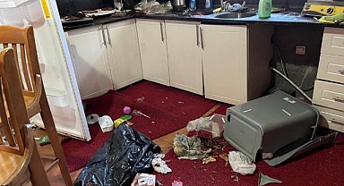 Aç kalan ayılar kayak tesisine dadandı