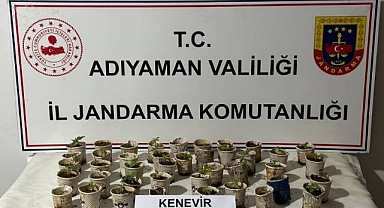 Bardak içerisine ekilmiş halde ele geçirildi