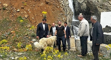 Belediye başkanı köpek kurtarma operasyonunda