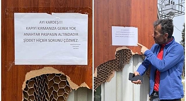 Çareyi ayıya not yazmakta buldu