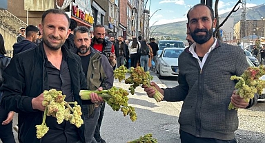 Destesi 100 TL’den satışa çıktı