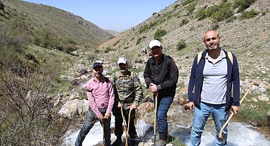 Doğaseverlerden zirve yürüyüşü
