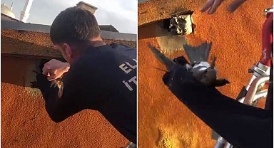 Duvardaki deliğe sıkışınca yardımına itfaiye koştu