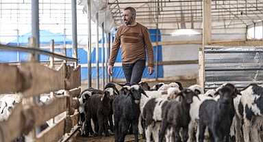 Erzurum'da hayvancılık artıyor! Şehirden kırsala geri dönüş başladı